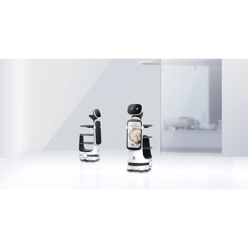 Dinerbot T10