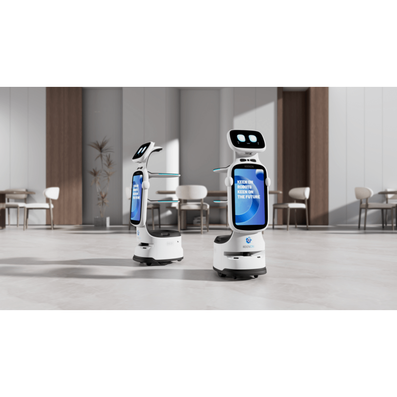 Dinerbot T11