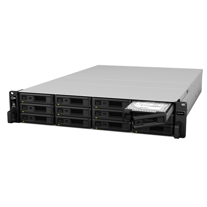 Synology RX1217