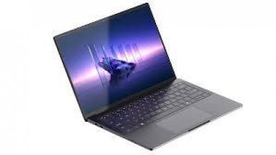 Dell Pro 14 PV14250